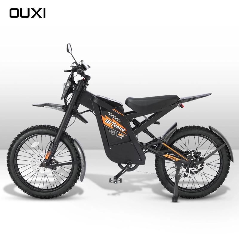 Electric Dirt bike